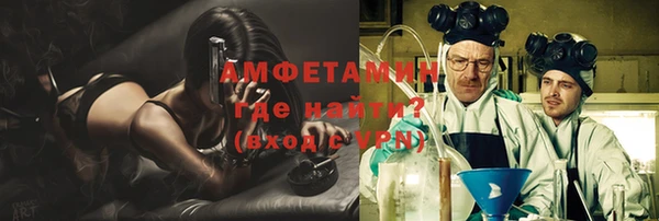 стаф Балахна