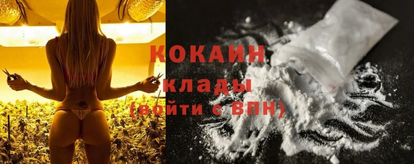 стаф Балахна