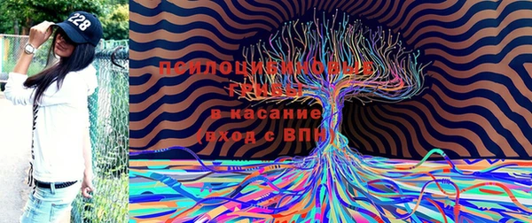 хмурый Балабаново