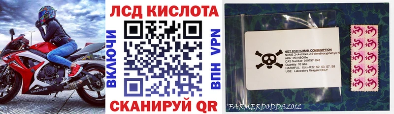 Марки N-bome 1,5мг закладка маркетплейс состав Бор